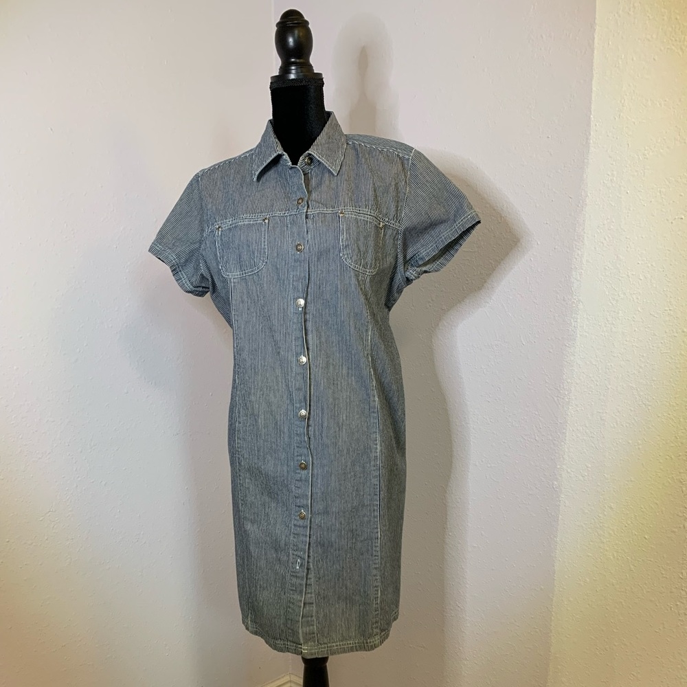 Faded Glory Striped Denim Dress